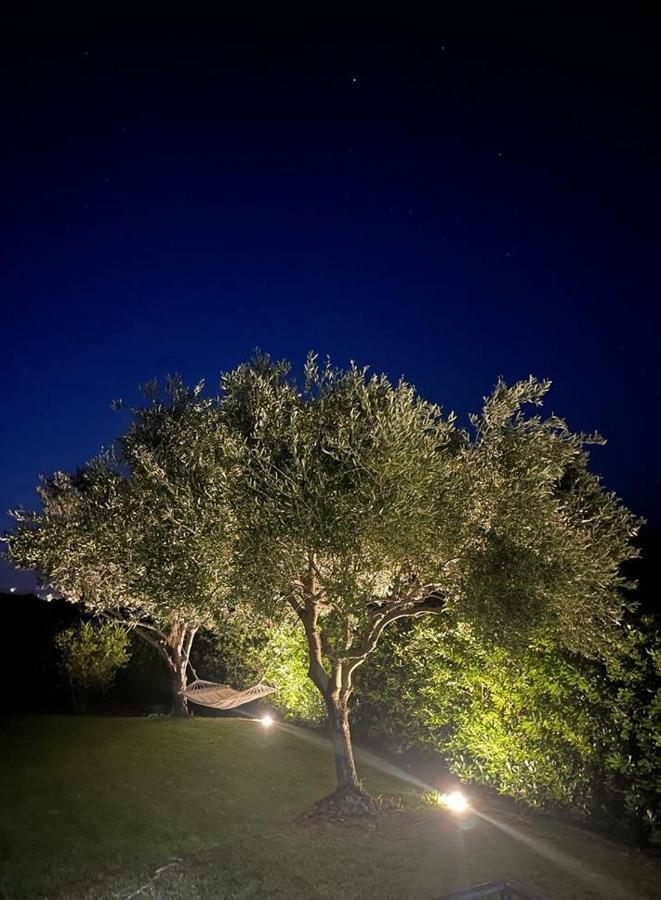 Villa Aurelia 산테오도로 외부 사진